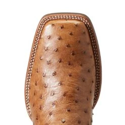 Ariat Men`s Quantum Primo Ranger FQ Ostrich 11` Beam Brown Top Square Toe Boots -Cowboy Essentials Shop 10040281 4