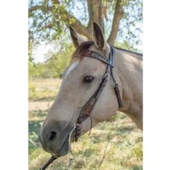 Circle Y Saddlery Dark Flash Arizona Flower Browband Headstall -Cowboy Essentials Shop 1008 12 SC 3