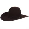 Rodeo King 10X Black Cherry 4 1/2in. Brim Self Band Open Crown Felt Cowboy Hat -Cowboy Essentials Shop 148577 default l
