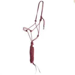 Classic Econo Halter And 9-Foot Leadrope -Cowboy Essentials Shop 241613 789091
