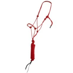 Classic Econo Halter And 9-Foot Leadrope -Cowboy Essentials Shop 241613 789093